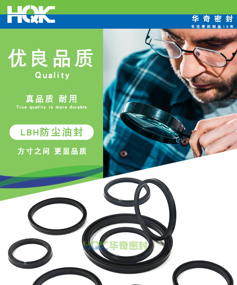 LBH橡膠防塵油封詳情_01